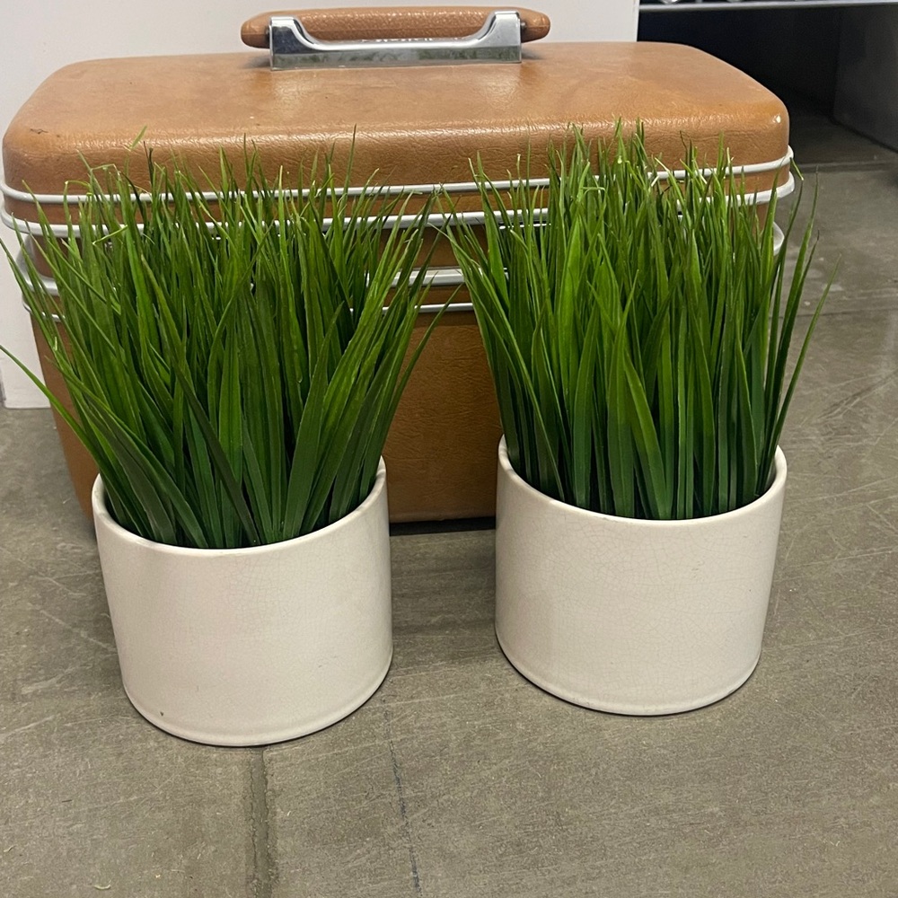 2 Artificial Green Grass Plants in White Ceramic Pots